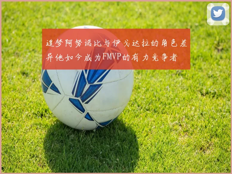 追梦阿努诺比与伊戈达拉的角色差异他如今成为FMVP的有力竞争者