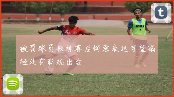 被罚球员教练赛后悔意表达可望减轻处罚新规出台