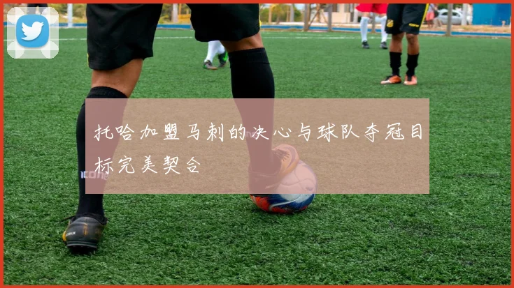 托哈加盟马刺的决心与球队夺冠目标完美契合